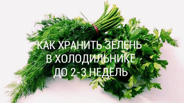 КАК ХРАНИТЬ СВЕЖУЮ ЗЕЛЕНЬ В ХОЛОДИЛЬНИКЕ ДО 2-3 НЕДЕЛЬ! Полезные Советы и Лайфхаки!