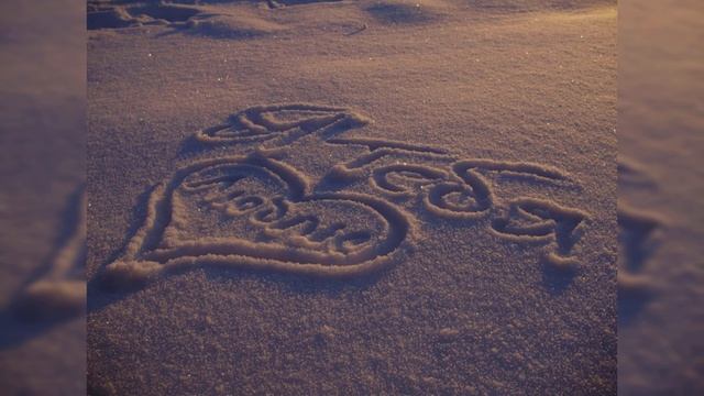 На белом-белом покрывале января / Сергей Васюта