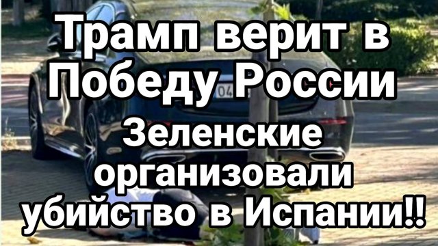 МРИЯ⚡️ ТАМИР ШЕЙХ / ТРАМП ВЕРИТ В ПОБЕДУ РОССИИ. Зеленский. Новости Сводки