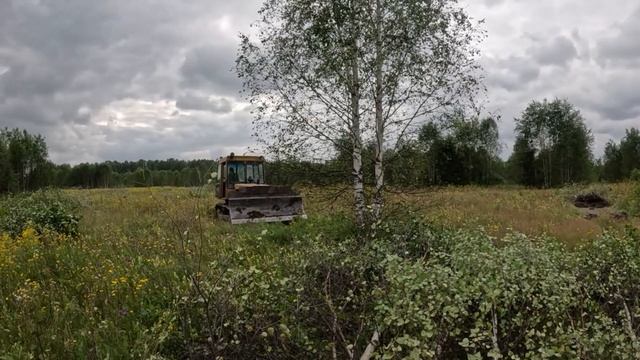 Раскорчёвка полей на ДТ-75.