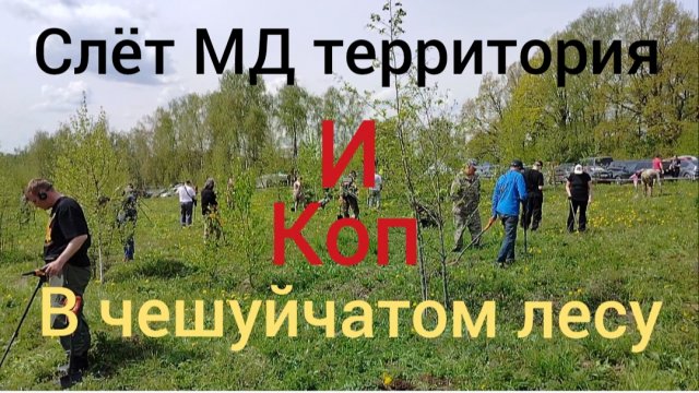 слёт МД территория,и коп в чешуйчатом лесу,редкая уделка