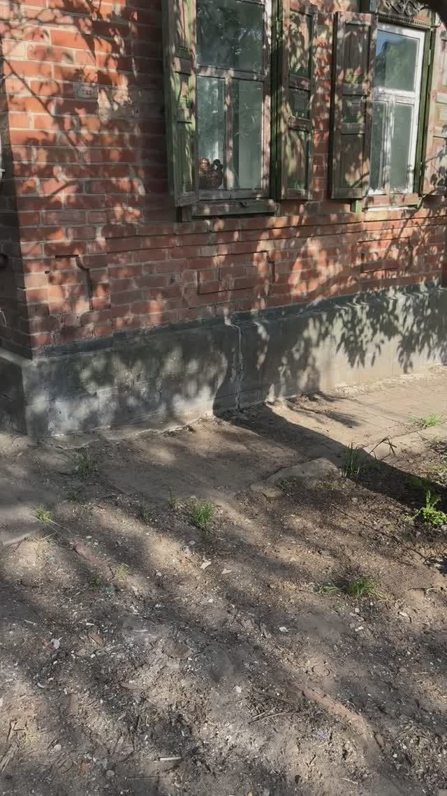двор