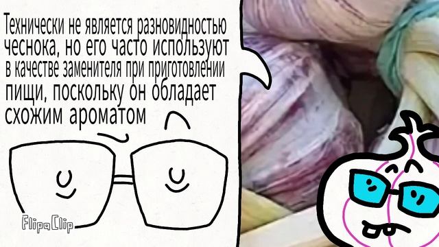 ВСЕ ВИДЫ ЧЕСНОКА