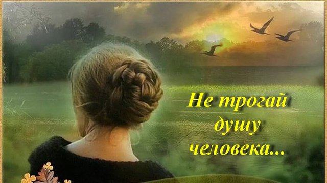 Не трогай душу человека, сл. И. Бутузова, муз., исп. и автор ролика Н. Ильин