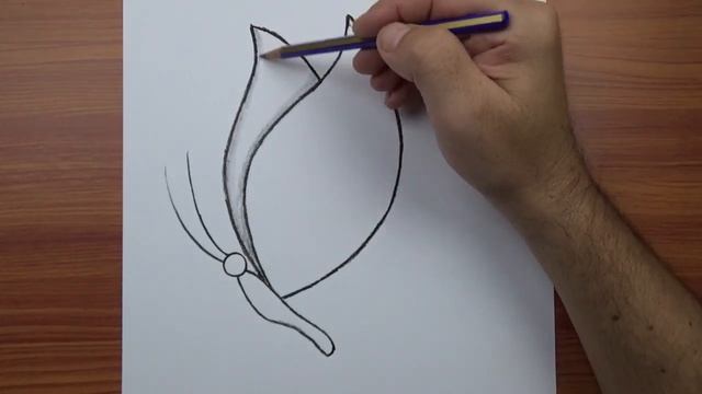 Очень лёгкий рисунок бабочки: как нарисовать бабочку — простые обучающие рисунки карандашом