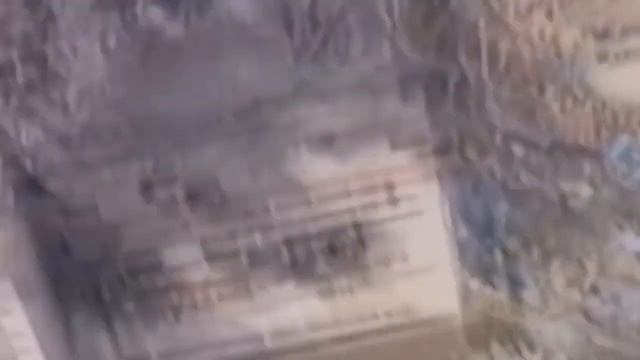 Нашли вторую Слоновью Ногу в Чернобыле, сестру Слонов?