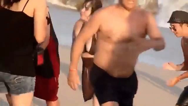 Все дельфины в ураган уплывают в океан 🐬