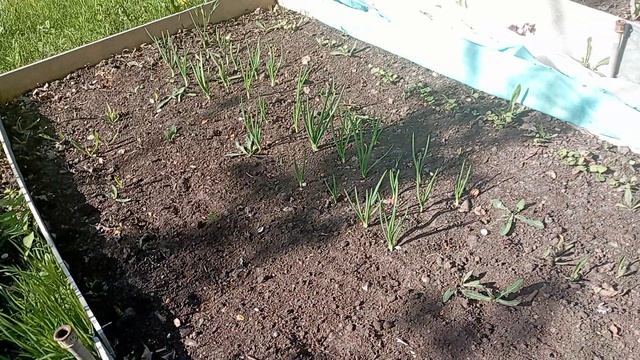 🌺🌺🌺 22-23.05.2025 Влог🌺🌺🌺