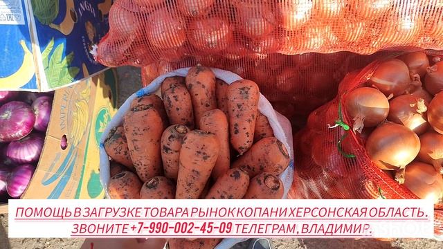 24-05-2025г Цены сегодня рынок Копани Херсонская область.