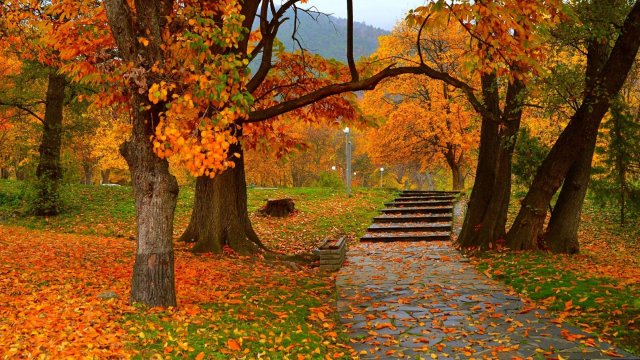 Красивые осенние листья в сельской местности - Цвета осенних листьев и уютные дома, прогулка 4 K