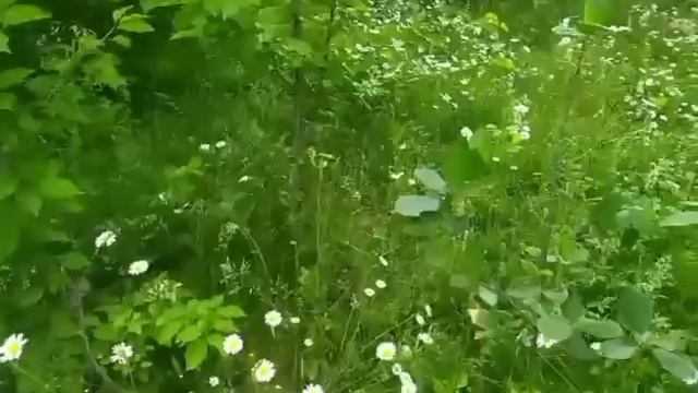 Не ожидала такого от зятя ботана.