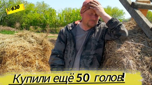 У НАС ПОПОЛНЕНИЕ В ХОЗЯЙСТВЕ! ЖУЛЬЕТА ВЫШЛА ПО АМНИСТИИ. Фунтик и компания переезжает. В деревне.