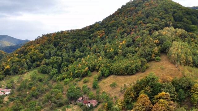 Осваиваем управление дроном DJI Mini 4K