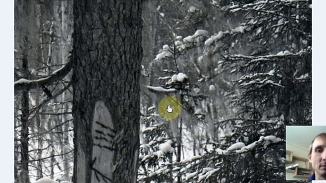 Менкв на фото группы Дятлова. Снежный человек, леший и?