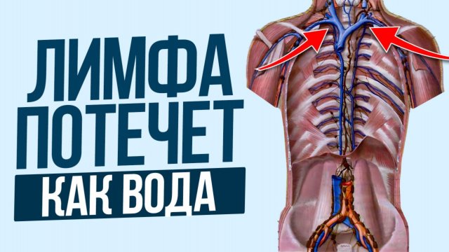 Ты ОТЕКАЕШЬ каждый день из-за ЭТОГО! / Как разогнать лимфу и убрать 5 лишних кг