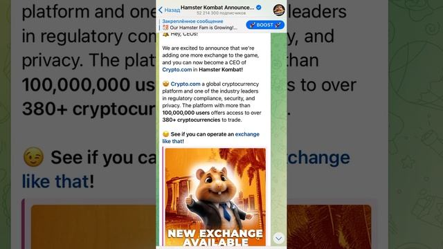 Hamster Kombat не запускается! Почему не работает Hamster Kombat ? Белый экран Hamster ? Хомяк