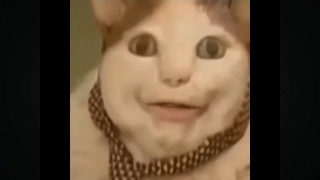 бу испугался не бойся я друг я тебя не обижу иди сюда и?