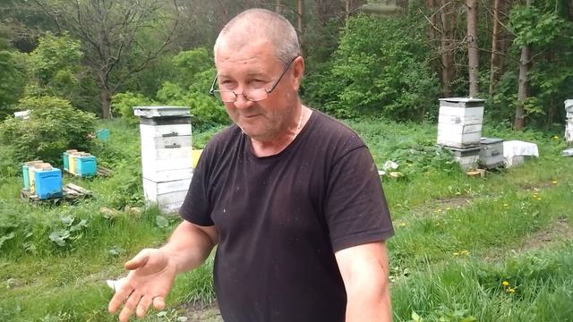 26 мая