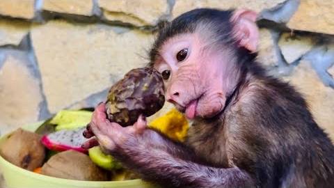 ОСТОРОЖНО, Анфиса! Она ужасно огорчится, если что-нибудь на свете вдруг случится