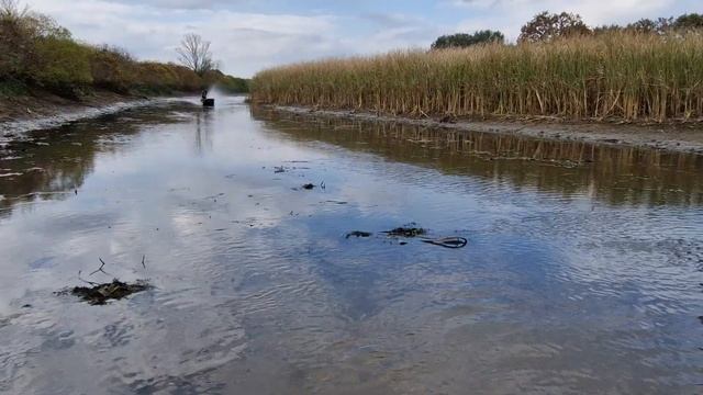 Болотоход электро