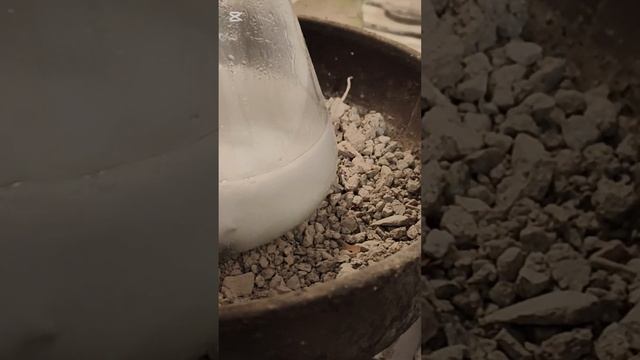 Как сделать железный купорос дома, легко и просто.