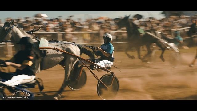 КОННЫЕ БЕГА 2023