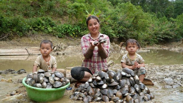 Собираем гигантские устрицы, чтобы продать их на рынке. Готовим устричную кашу для сына.