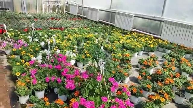 Кунаклар район белән таныша