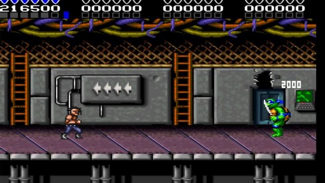 Battletoads & Double Dragon & Черепашка LEO