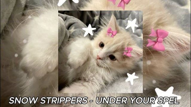 💜 плейлист популярных песен из тик тока 2024 🌷//