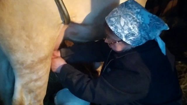 Коров доить - не хухры мухрыть, сначала вымя надобно по