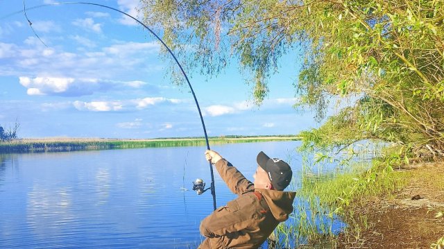 Забрался в глушь! Где рыбины гнут удочку в дугу! Рыбалка на дикой реке на сазана и крупного карася