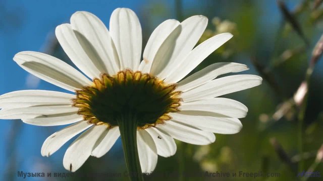 Эта музыка превратит любое путешествие в романтическое приключение - DJ Millenium -- New Millennium