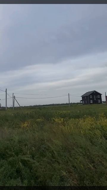 2451639