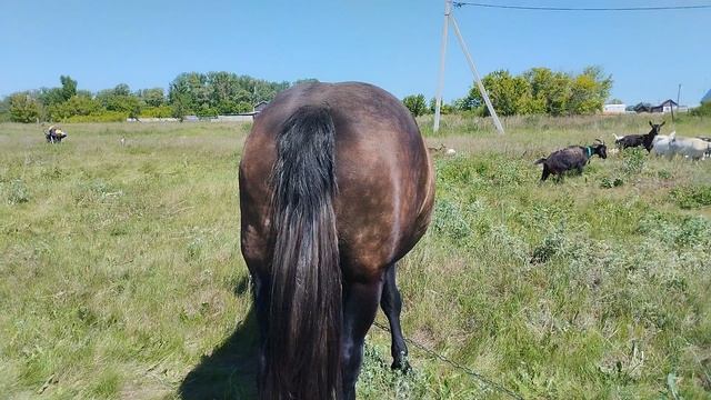 VID_20250526_144645