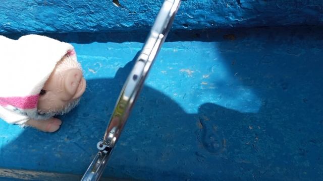 ﹤﹤﹤МИНИ ВЛОГ СО СВИНКОЙ РЕБОРНОМ НЮШЕЙ❗﹥﹥﹥#love is lps# топ #