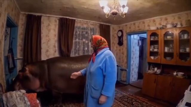 булька барабулька