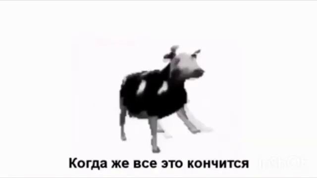 Dancing Polish Cow ПОЛЬСКАЯ КОРОВАПЕРЕВОД НА РУС