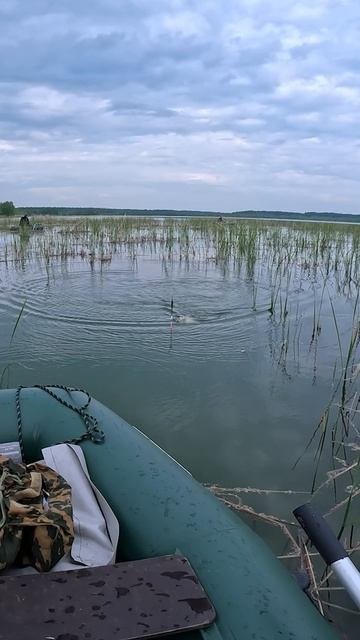 Озеро раздаёт крупняка
