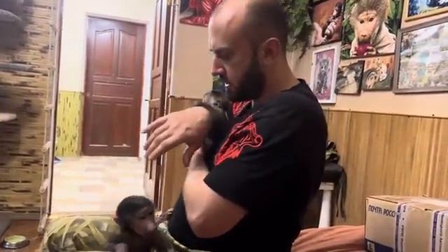 Анфиса хочет РАЗБАЛОВАТЬ нам Финика, а он не ПОДДАЕТСЯ!