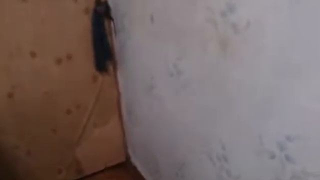 Сериал Банши в реальной жизни часть 2