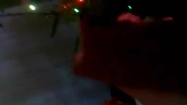 Гомо-Эректус