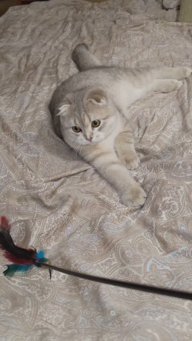 Микис
