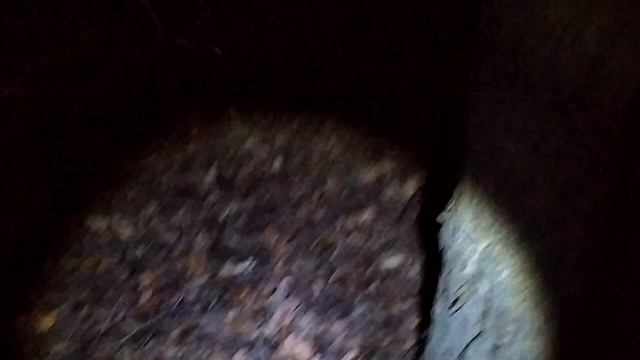 ВСТРЕЧА С ВЕДЬМОЙ В ЛЕСУ / СНЯЛ НЕЧТО / ОХОТА НА ВЕДЬМУ ч.2