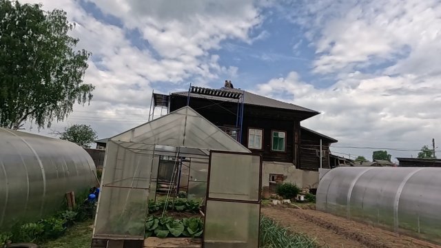 Дети приехали на помощь... От жары рты пораскрывали...