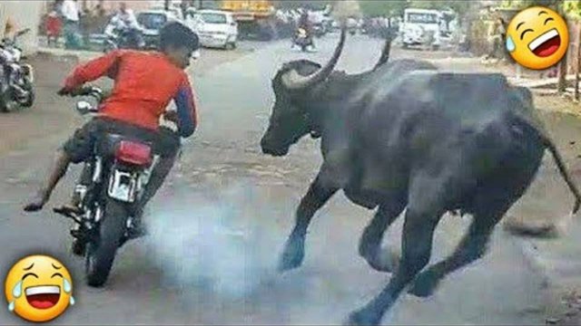 ОТБОРНЫЕ ПРИКОЛЫ САМЫЕ СМЕШНЫЕ 2025 года ОЧЕНЬ СМЕШНЫЕ ВИДЕОПРИКОЛЫ ОТБОРНЫЕ ПРИКОЛЫ Ржар до СЛЕЗ3