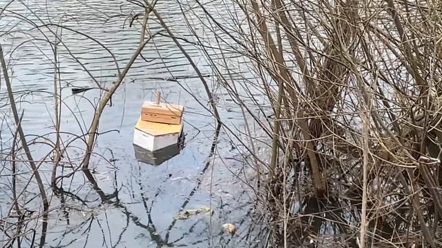 СПАСЛИ И ЗАТОПИЛИ КАРТОННЫЙ КОРАБЛЬ!