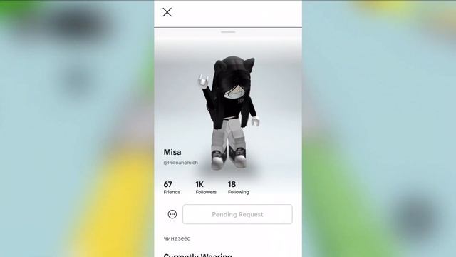 Палю всё Ники популярных роблоксеров!!!:)