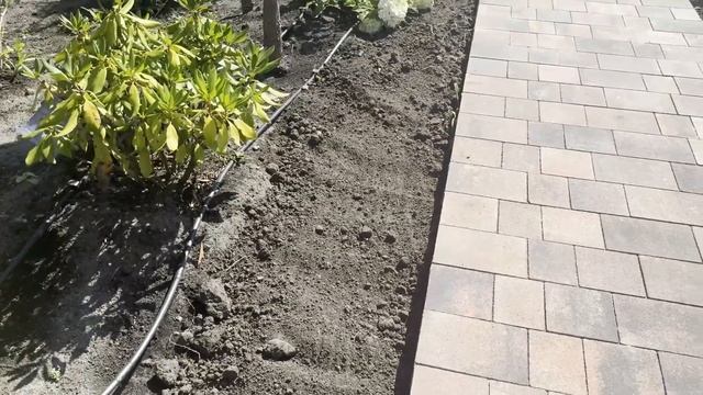 САДОВАЯ ДОРОЖКА без БОРДЮРА