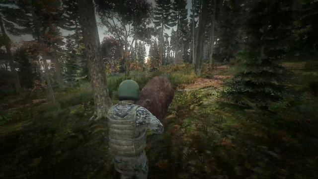 КАК НАЧАТЬ ИГРАТЬ В DAYZ | ПЕРВЫЕ ШАГИ | СОВЕТЫ И ФИШКИ